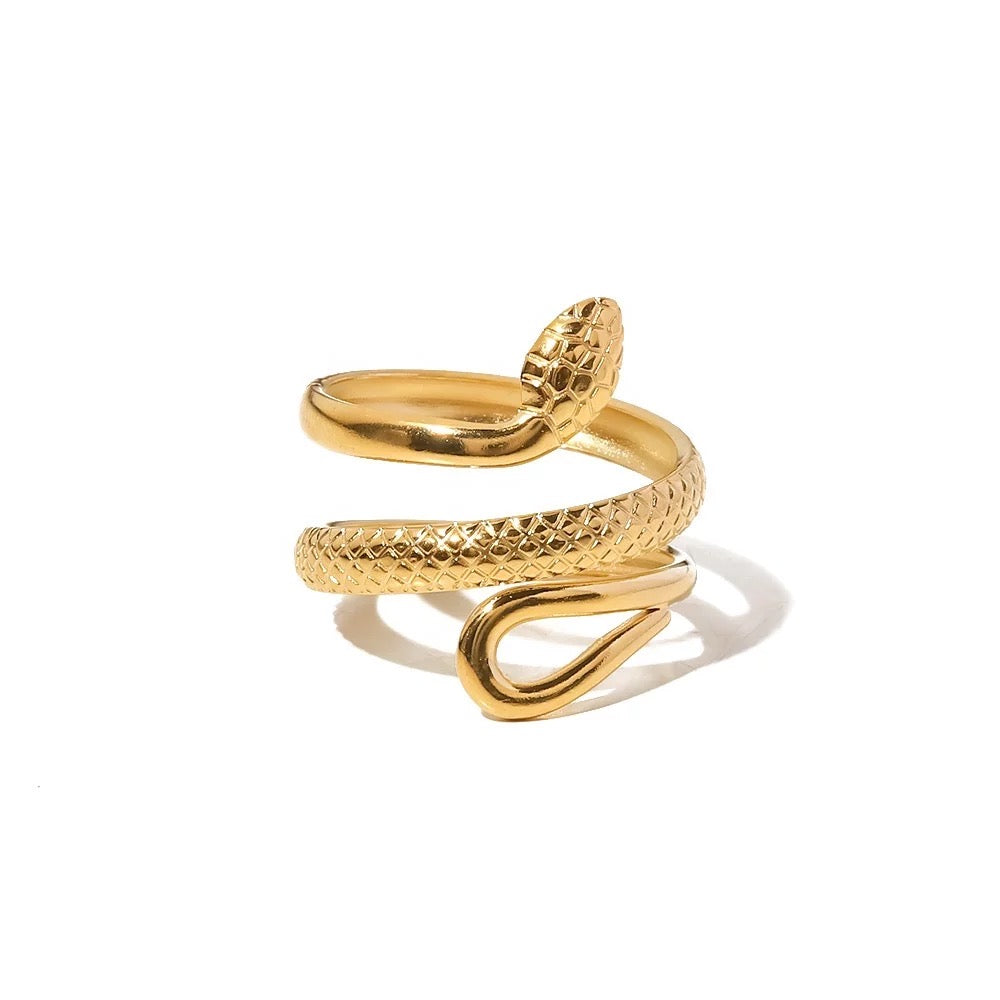 Double wrapped snake ring